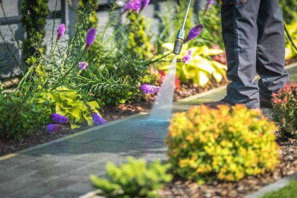 Best Fence Cleaning and Maintenance in Charlotte, TN